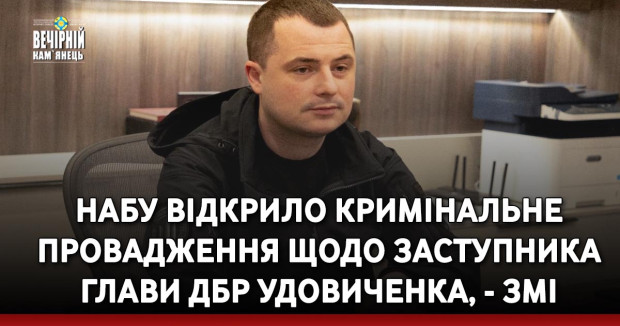 НАБУ відкрило кримінальне провадження щодо заступника глави ДБР Удовиченка, - ЗМІ