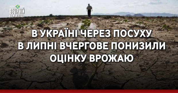 В Україні через посуху в липні вчергове понизили оцінку врожаю