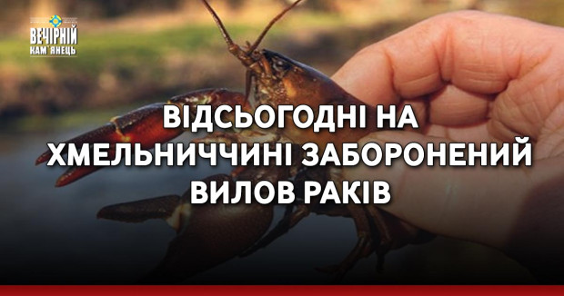 Відсьогодні на Хмельниччині заборонений вилов раків