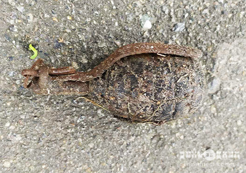 граната шепетівка