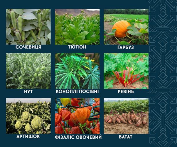 доплата рослини