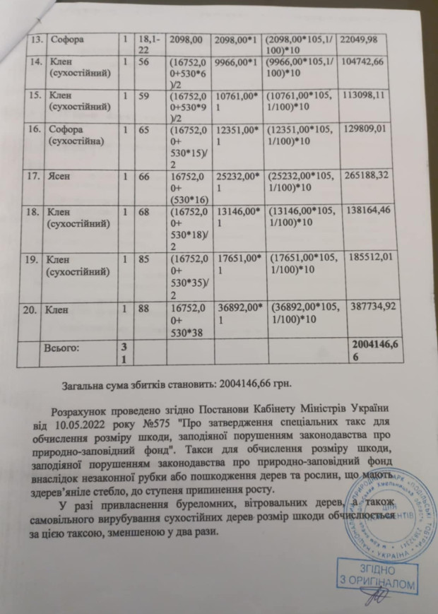 зрубані дерева 2