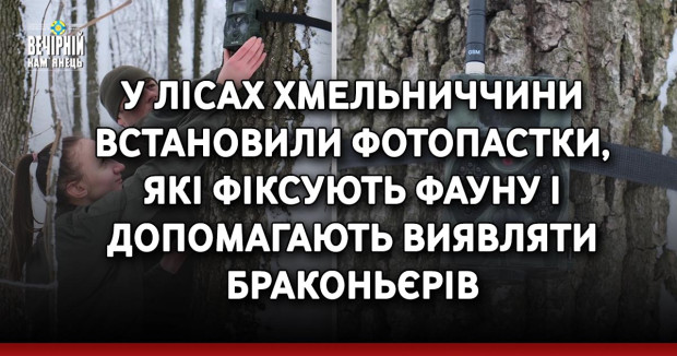 У лісах Хмельниччини встановили фотопастки, які фіксують фауну і допомагають виявляти браконьєрів