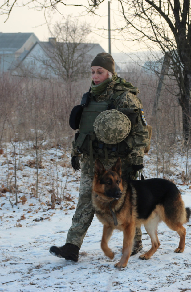 олена сапер камянець