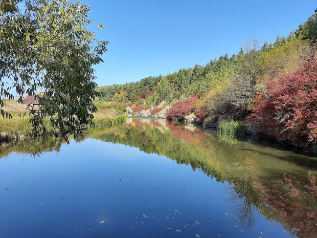 ставок оринин