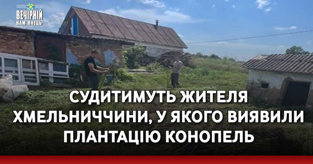 Судитимуть жителя Хмельниччини, у якого виявили плантацію конопель