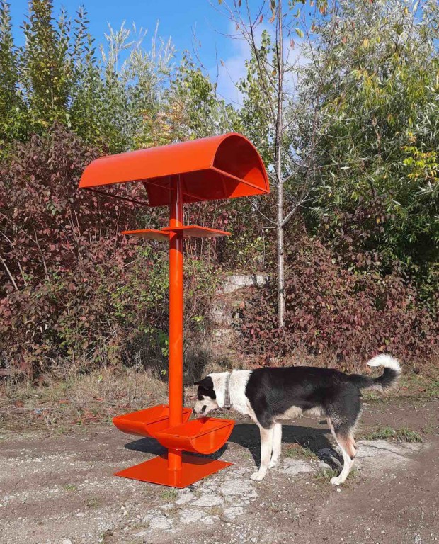 Вони хочуть пережити зиму!