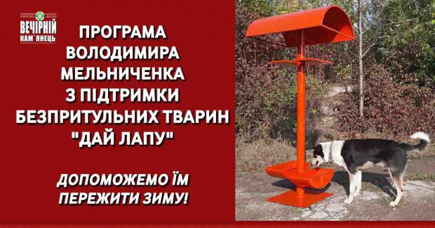 Володимир Мельниченко започатковує програму підтримки безпритульних тварин "Дай лапу"