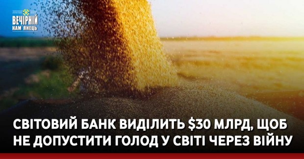 Світовий банк виділить $30 млрд, щоб не допустити голод у світі через війну