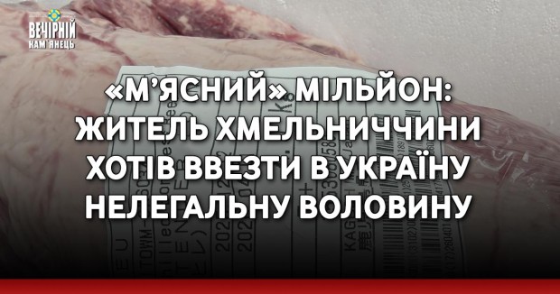 «М’ясний» мільйон: житель Хмельниччини хотів ввезти в Україну нелегальну воловину