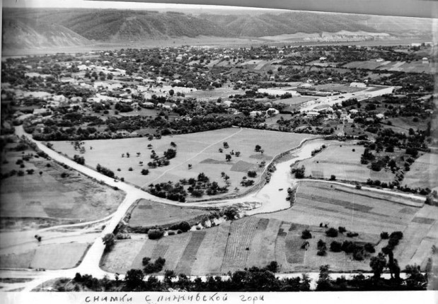 стара ушиця