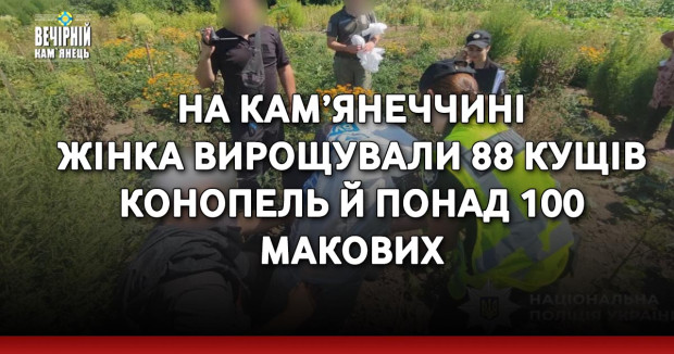 На Кам’янеччині жінка вирощували 88 кущів конопель й понад 100 макових