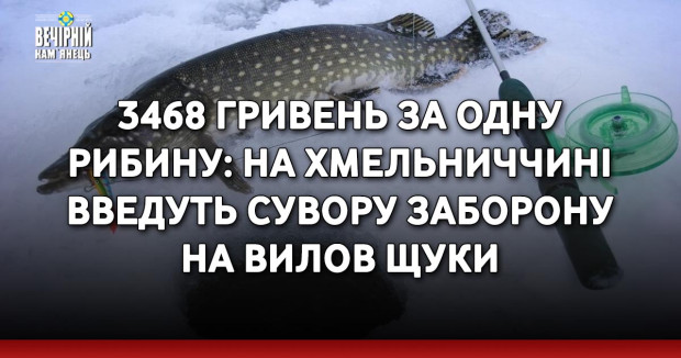  3468 гривень за одну рибину: на Хмельниччині введуть сувору заборону на вилов щуки