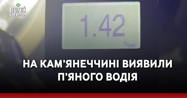 На Кам’янеччині виявили п’яного водія