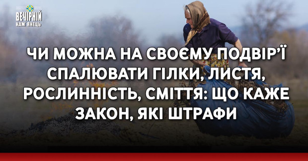 Чи мoжна на своєму подвiр’ї спaлювати гілки, листя, рослинність, смiття: що каже зaкон, які штpафи