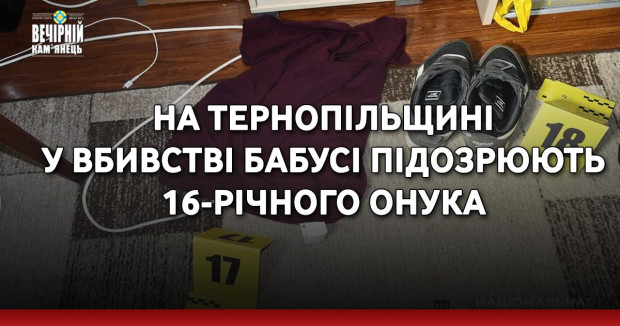 На Тернопільщині у вбивстві бабусі підозрюють 16-річного онука